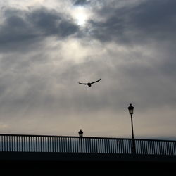 Low angle view of silhouette birds flying against sky