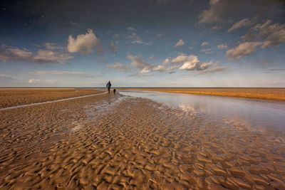 Distant view of person with dog walking at beach against sky