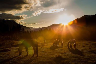 Horses grazing on scenic landscape against cloudy sky