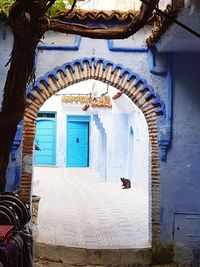 View of horse in front of door