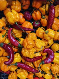 Full frame shot of multi colored candies for sale at market