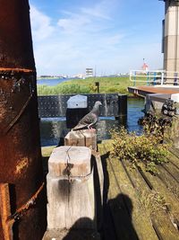 Shadow of people on water against sky