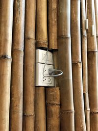 Full frame shot of bamboo in building