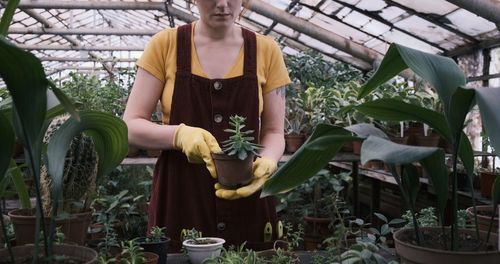 Midsection of man working on plant