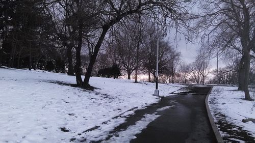 Snow covered trees against sky