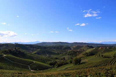 Scenic view of vinery field against sky in langhe, piedmont. 