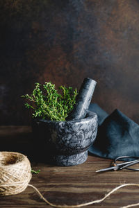 Close-up of potted plant on table