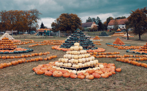 Rocks on field against sky during autumn