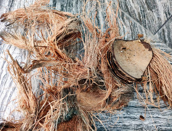 wood