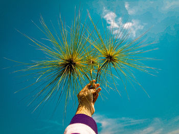 Low angle view of woman holding dandelion against blue sky