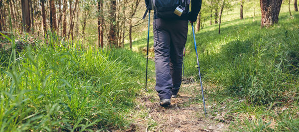 Low section of man standing on field
