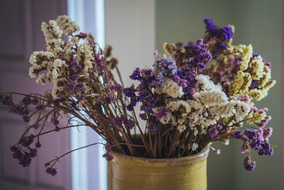 Close-up of potted plant at home