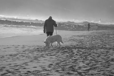 Rear view of man with dog on beach