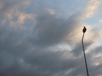 Low angle view of street light against cloudy sky