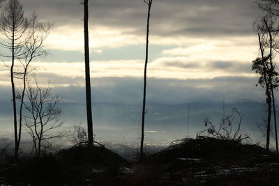 Silhouette bare trees against sky during sunset
