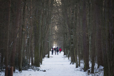 People in forest during winter