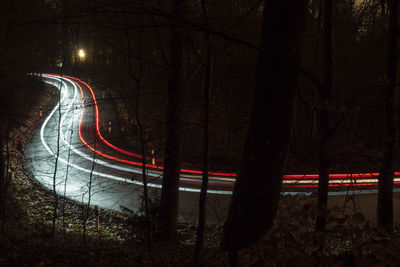 Light trails on road by trees at night