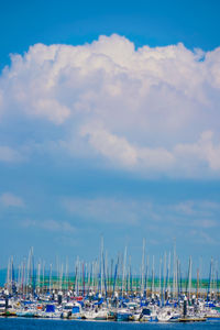 Boats in harbor