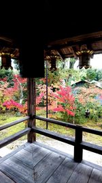 View of flowering plants by railing in building