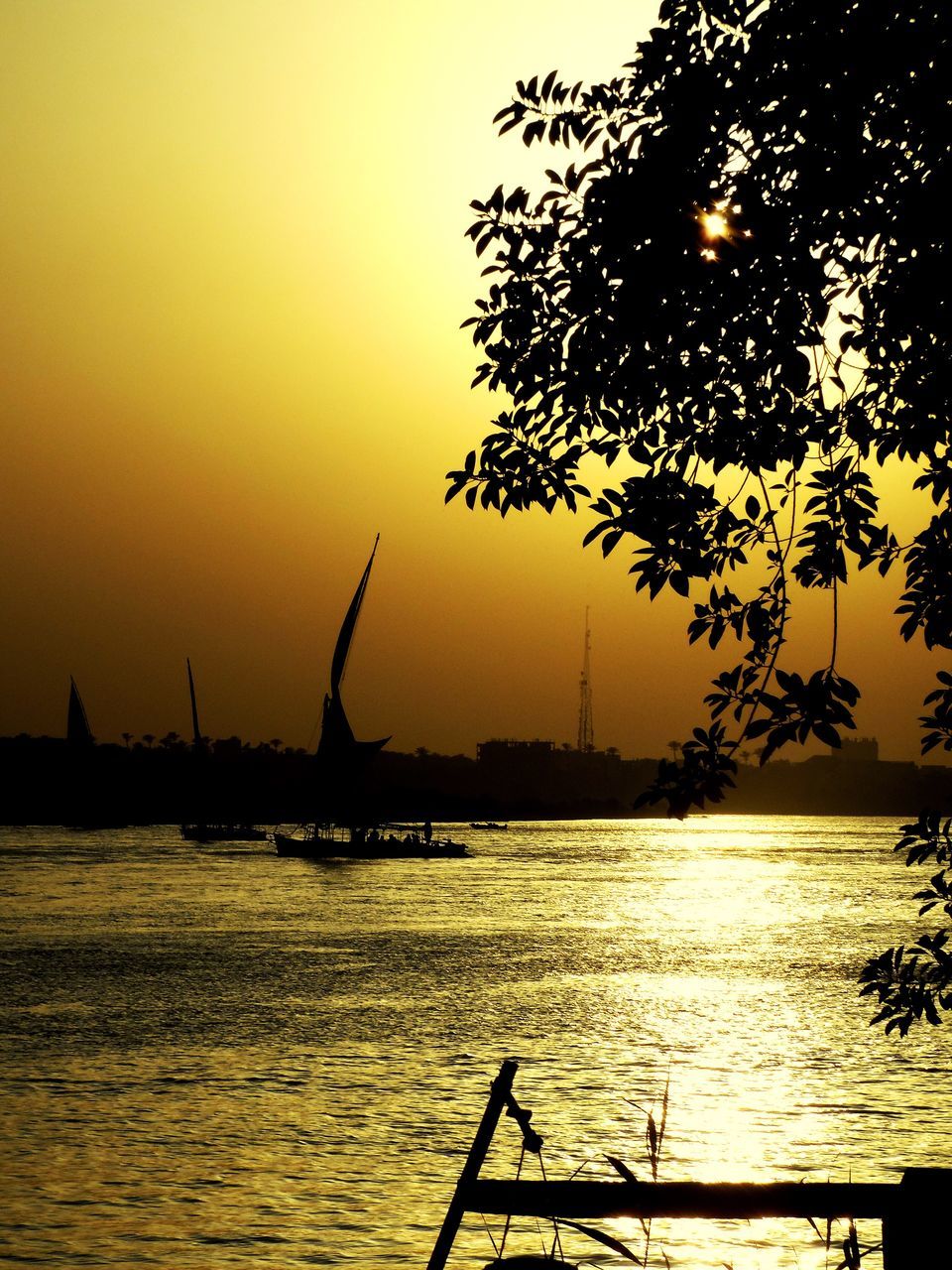 sunset, tree, water, silhouette, sea, no people, nature, outdoors, sky, nautical vessel, beauty in nature, day