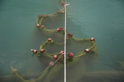 High angle view of rope tied to boat in lake