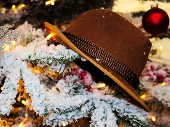 Close-up of hat on christmas tree