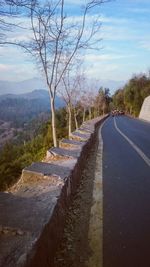 Empty road along trees