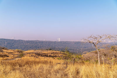 Scenic view of landscape against clear sky