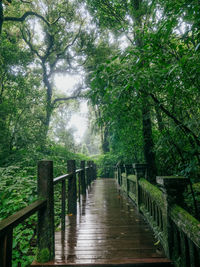 Pier over lake