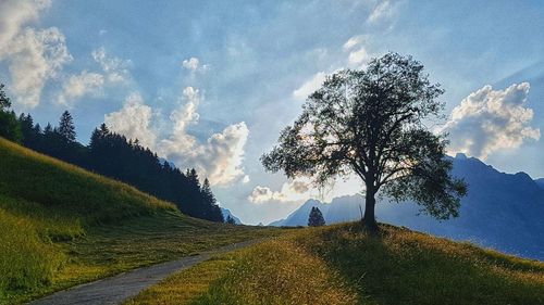 Panoramic view of road amidst trees on field against sky