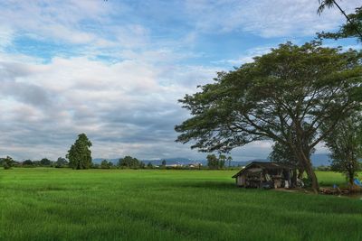 Scenic view of farm against sky