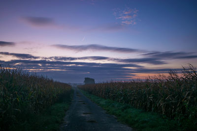 Road amidst agricultural field against sky during sunset