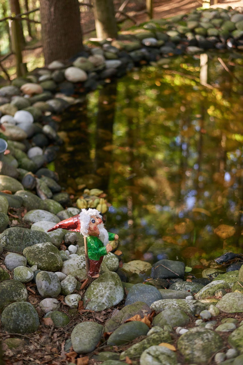 CLOSE-UP OF TOY ON ROCK