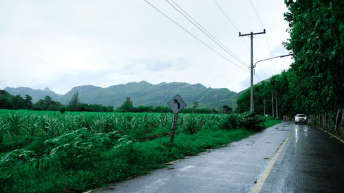 Rainy season and road traveled