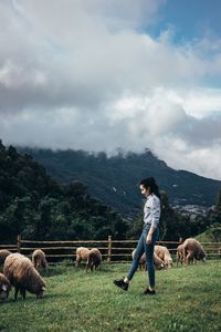 Full length of young woman with sheep on field against sky