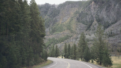 Road amidst trees and mountains