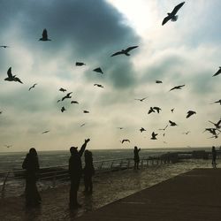 Silhouette people looking at birds flying over beach against sky