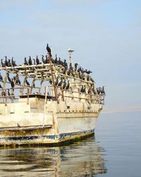 Birds perching on abandoned boat over sea against sky
