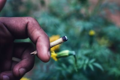 Close-up of hand holding cigarette