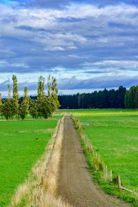 Empty road with trees in background