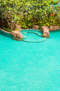 Swimming pool by tree against sea