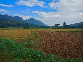 Scenic view of field against sky