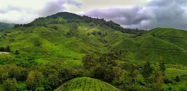Scenic view of green landscape against sky