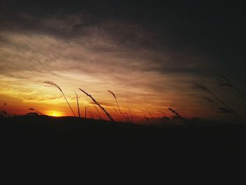 Silhouette of landscape at sunset