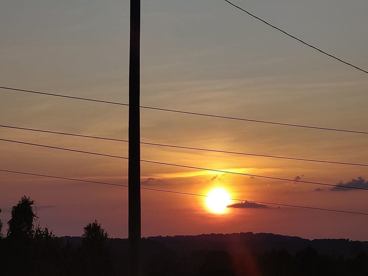 SILHOUETTE TREES AGAINST ORANGE SKY