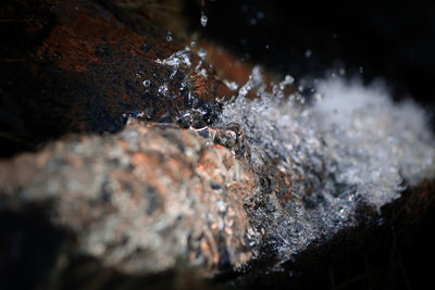 Close-up of water splashing on rocks