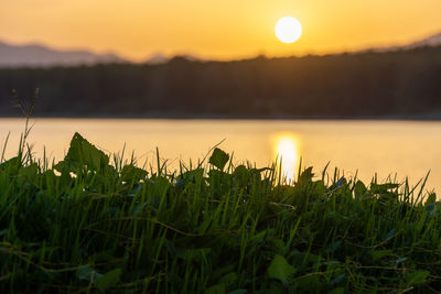 Scenic view of lake against sky during sunset