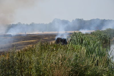 Smoke emitting from field against sky