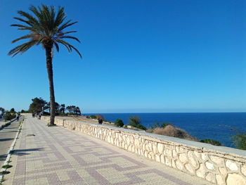 Palm trees on beach against clear blue sky