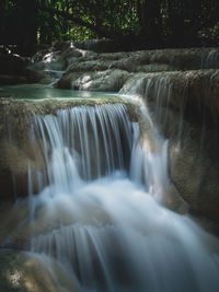 Scenic view of waterfall in forest